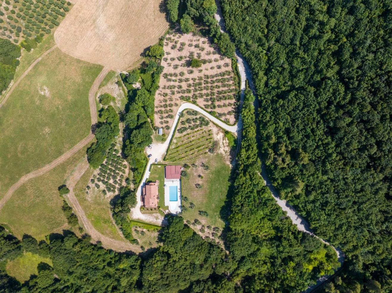 Agriturismo Isola Verde Sant'Urbano Екстер'єр фото