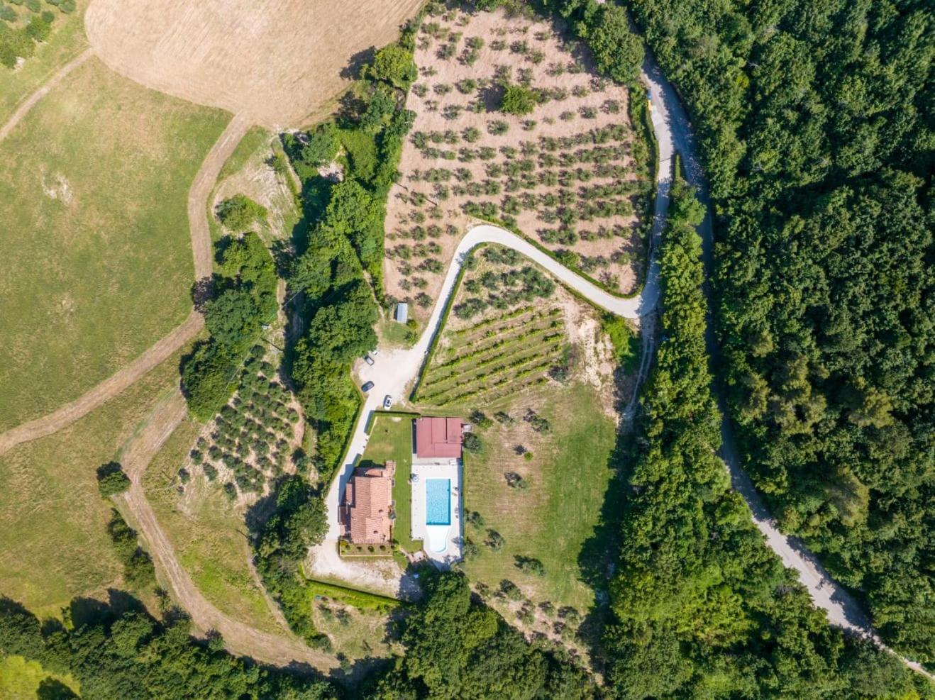 Agriturismo Isola Verde Sant'Urbano Екстер'єр фото