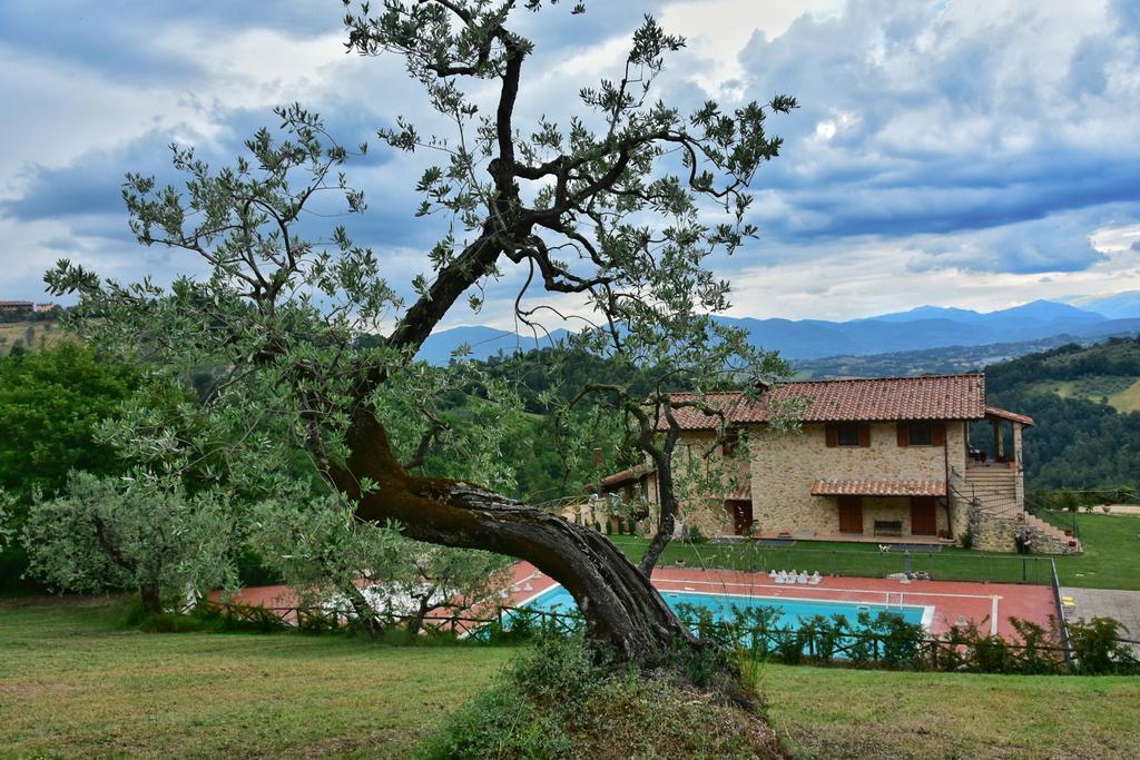Agriturismo Isola Verde Sant'Urbano Екстер'єр фото