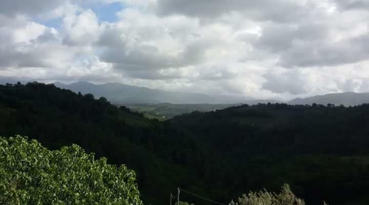 Agriturismo Isola Verde Sant'Urbano Екстер'єр фото