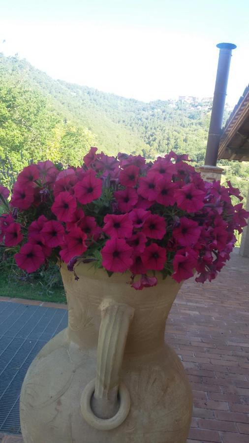 Agriturismo Isola Verde Sant'Urbano Екстер'єр фото